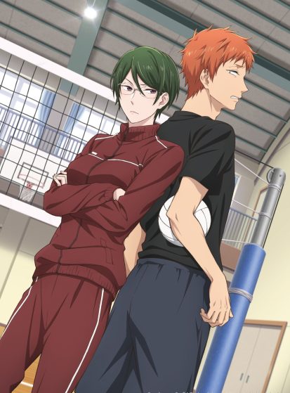Wotaku ni Koi wa Muzukashii OVA