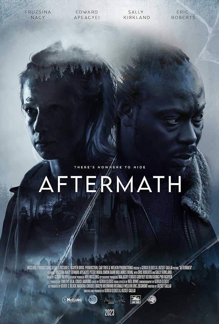 Aftermath 2024 مترجم اون لاين