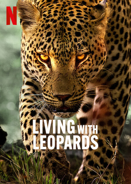 Living with Leopards 2024 مترجم اون لاين
