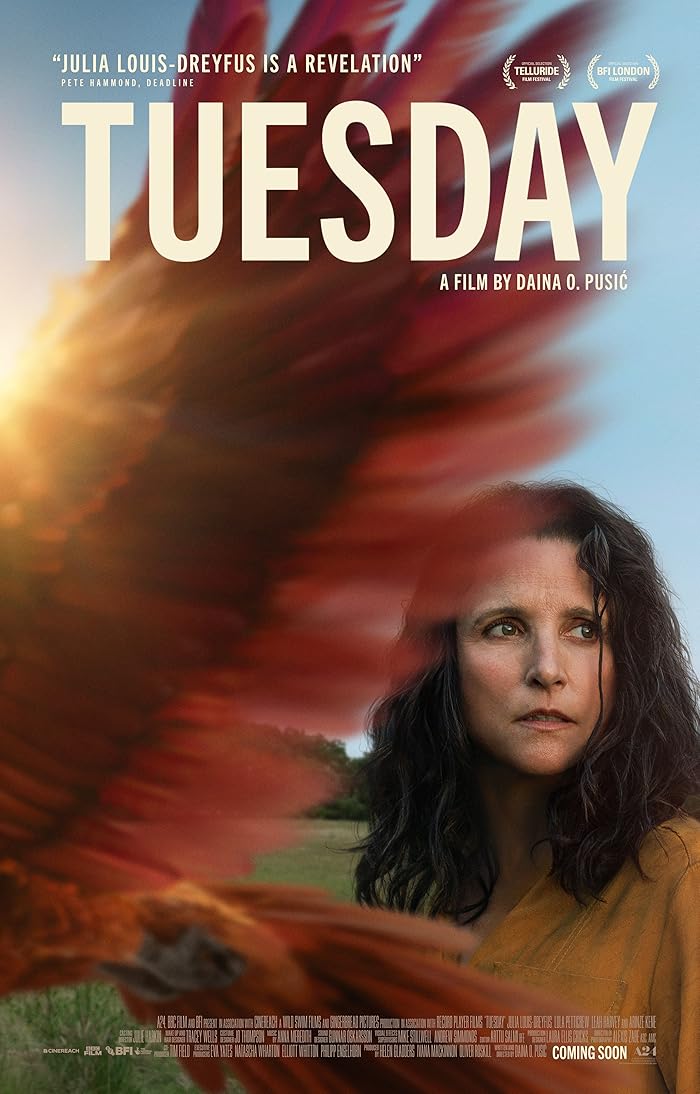 Tuesday 2023 مترجم اون لاين