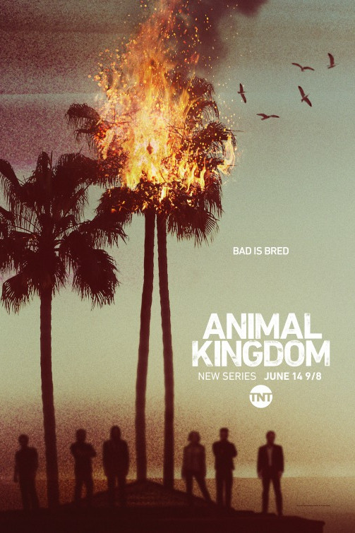 Animal Kingdom